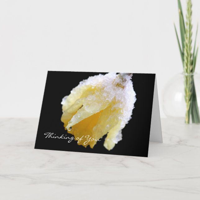 Pensez à vous Carte de voeux Daffodil d'hiver (Devant)