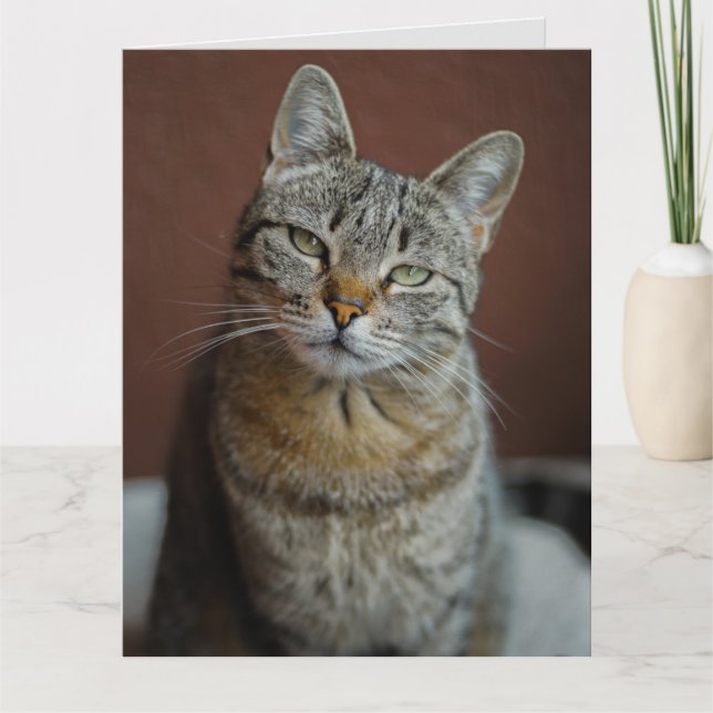 PENSEZ À VOUS MANGER TABBY CAT CARTES DE SALUT (Devant)