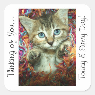 Pensez à vous Sticker Kitten