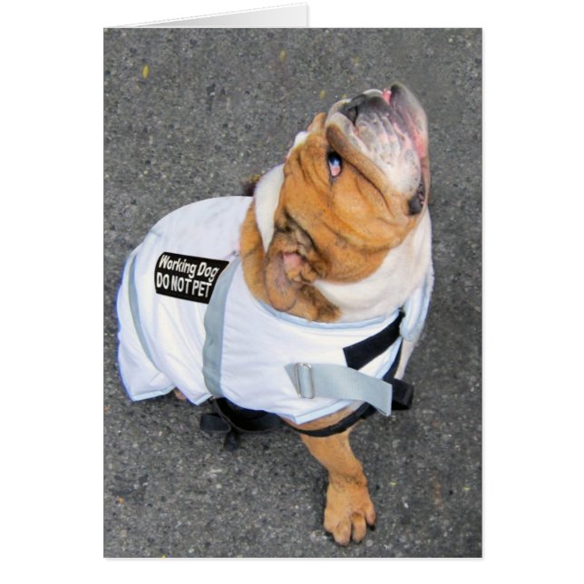 Pensez le positif (Devant)