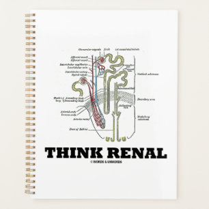 Pensez Renal Rein Nephron Conseils