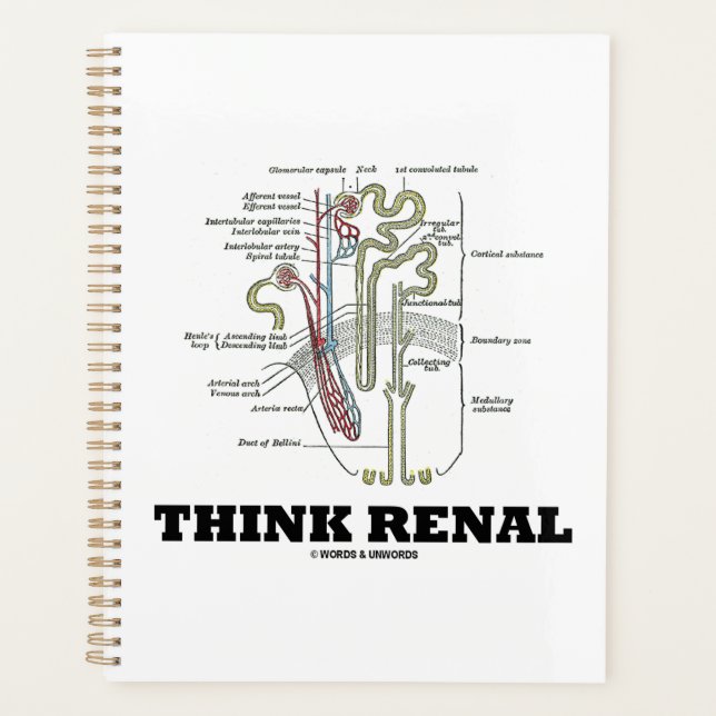 Pensez Renal Rein Nephron Conseils (Devant)