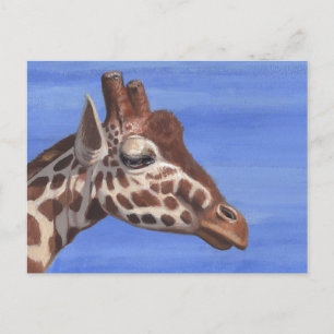 Pensive Giraffe Postcard