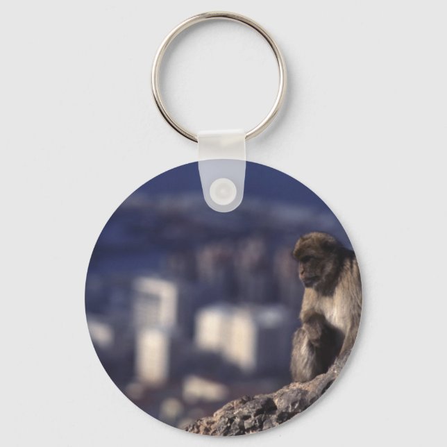 Pensive Monkey in Gibraltar Keychain (Front)