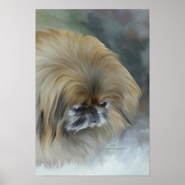 Pensive Pekingese Poster (Front)