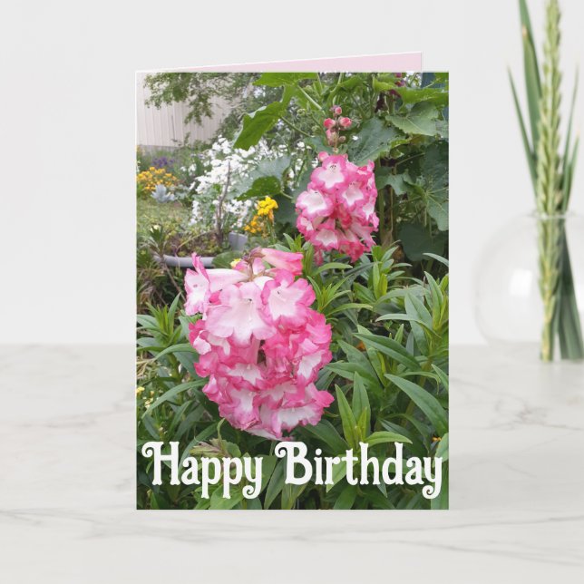 Penstemon Flower Garden floral Happy Birthday Card (Front)