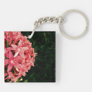 Pentas