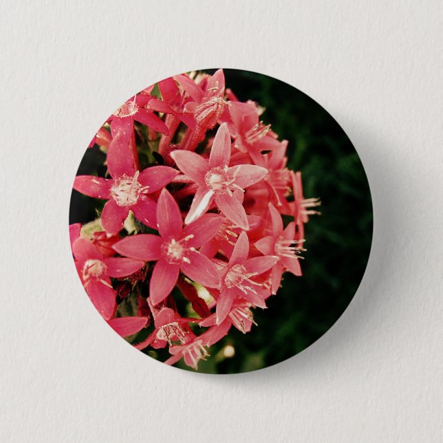 Pentas 2 Inch Round Button (Front)