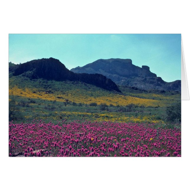 Pentes colorées (Devant horizontal)