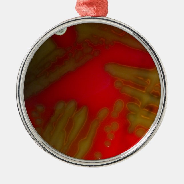 Penumonia Bacteria Metal Ornament (Front)