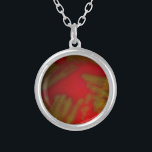 Penumonia Bacteria Silver Plated Necklace<br><div class="desc">A streak plate of Streptococcus pneumoniae with an optochin antibiotic disc placed on it. The plate shows alpha hemoloysis on the blood agar plate.</div>
