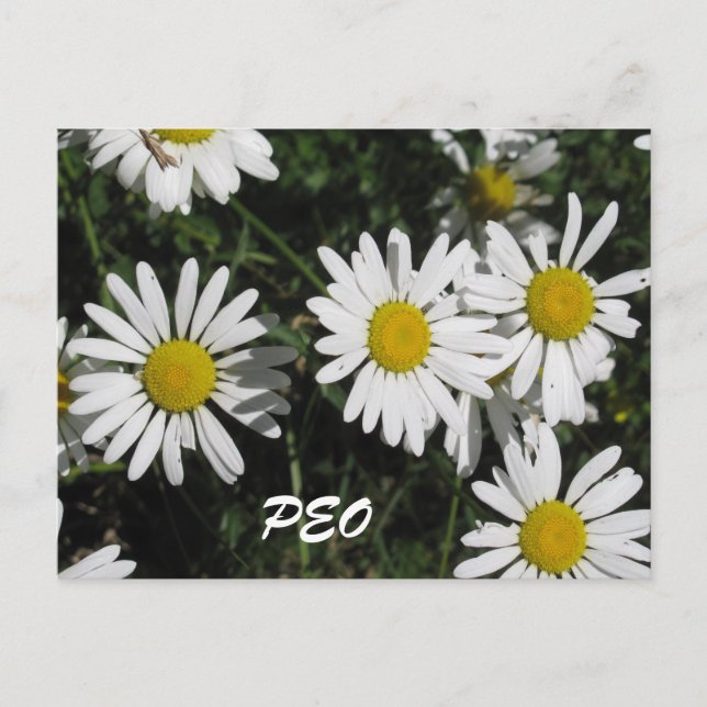 PEO Card (Front)
