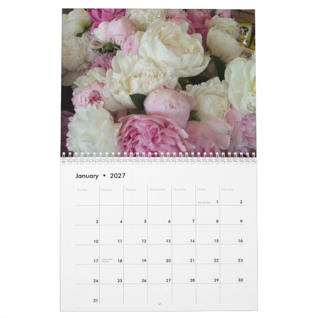 Peonies 2015 Calendar (Jan 2027)