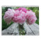Peonies 2015 Calendar Flowers