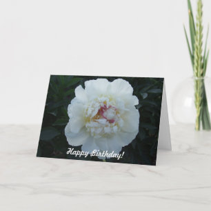 Peonies Bonne carte d'anniversaire