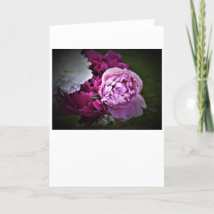 Peonies, card