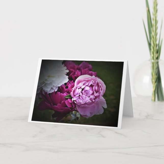 Peonies, carte (Devant)