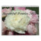 Peonies Flower Floral 2012 Calendar