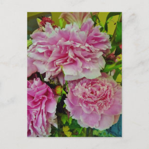 Peonies French Country Style Postcard