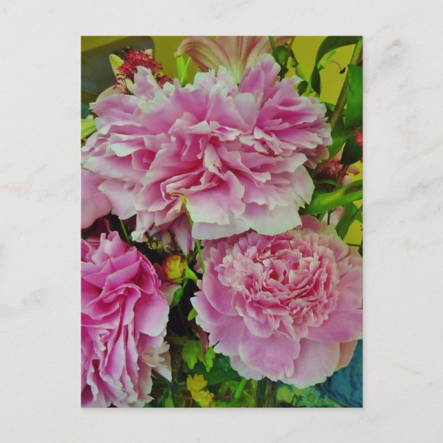 Peonies French Country Style Postcard (Front)