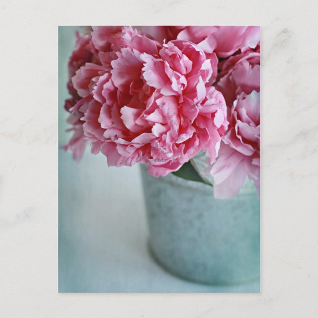Peonies on the Table Postcard (Front)