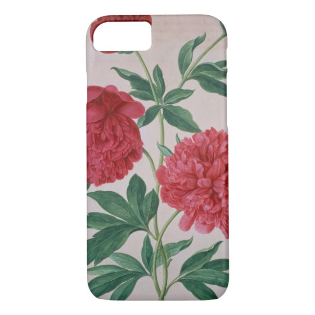 Peonies, plate 46 from the Nassau Florilegium (w/c Case-Mate iPhone Case (Back)
