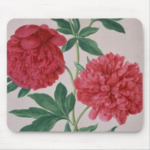 Peonies, plate 46 from the Nassau Florilegium (w/c Mouse Pad