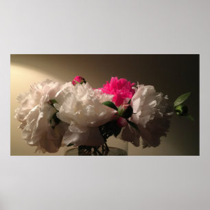 Peonies, Poster