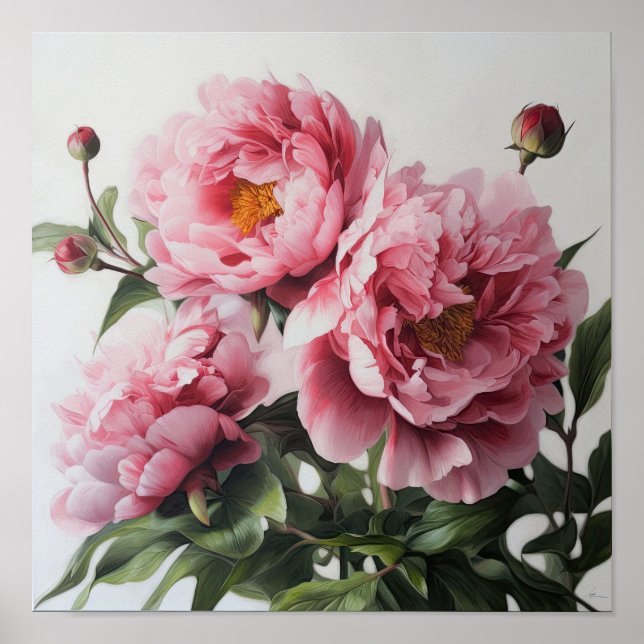 Peonies roses Flower Art Imprimer Poster (Devant)