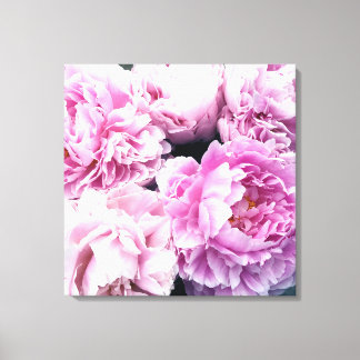 Peonies roses toile étirée Impression