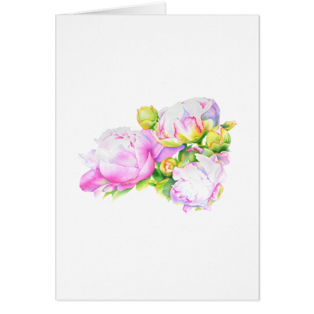Peonis, rose, blanc, aquarelle peinture florale (Devant)