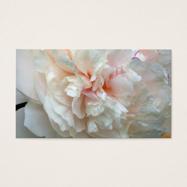 Peony (Devant)