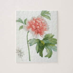 Peony, 1799 (colour stipple print) jigsaw puzzle