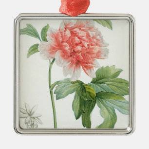 Peony, 1799 (colour stipple print) metal ornament
