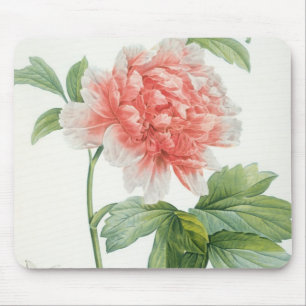 Peony, 1799 (colour stipple print) mouse pad