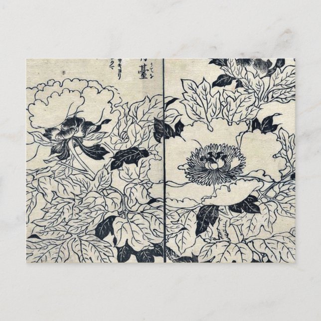 Peony blossoms by Tachibana, Yasukuni Ukiyoe Postcard (Front)