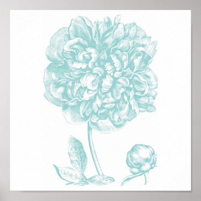 Peony Blue Green Poster (Front)