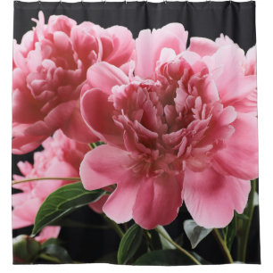 Peony Bouquet Closeup: Pink Red