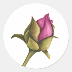 peony bud classic round sticker