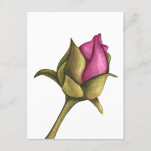 peony bud holiday postcard