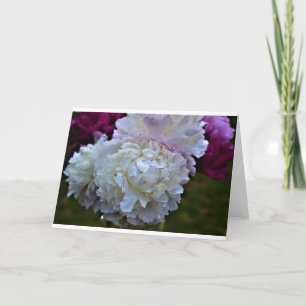 Peony, card