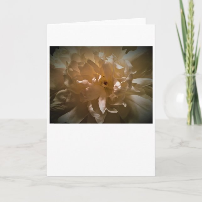 Peony, card (Front)