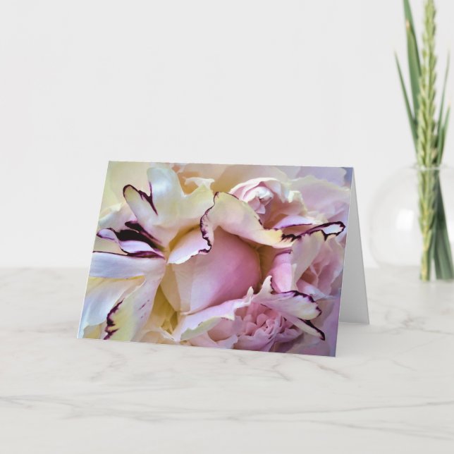 Peony, card (Front)