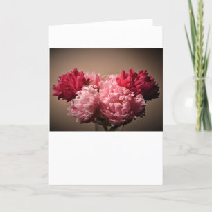 Peony, card