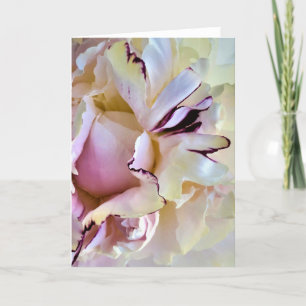 Peony, card