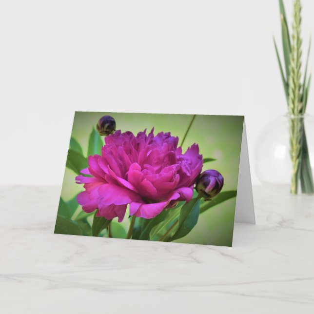 Peony, card (Front)