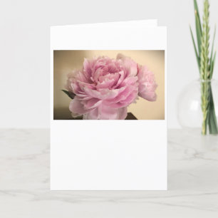 Peony, card