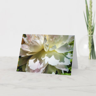 Peony, card
