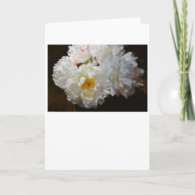 Peony, card (Front)