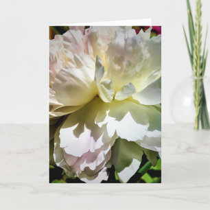 Peony, card